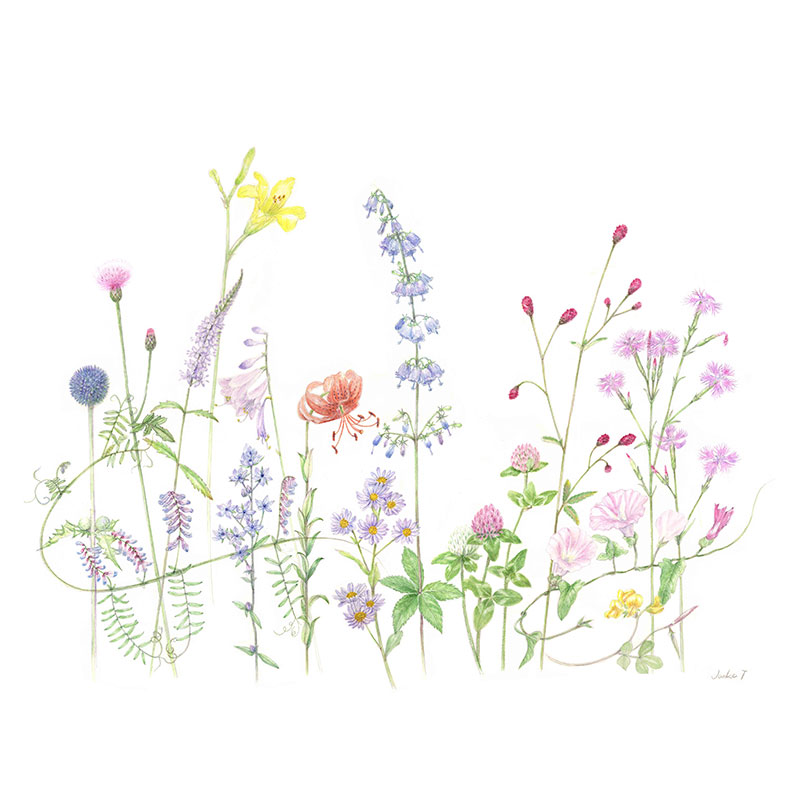 透明水彩画二人展 | ギャラリーコンセプト21(Gallery Concept 21)